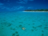 Heron Island Snorkelling