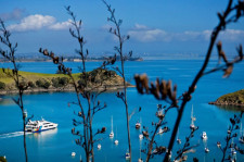 Harbour Cruise, Auckland, New Zealand