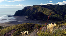 Piha Black Sand Beach and Wilderness