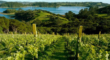 Waiheke Island, Auckland, New Zealand