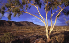 Alice Springs, Australia