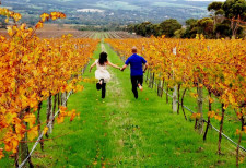 Barossa Valley, South Australia