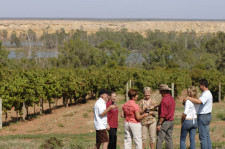 Barossa Wine Tour, Adelaide, Australia