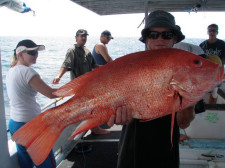 Deep Sea Fishing, Cairns, Australia