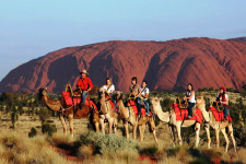 Camel Ride into the Uluru Sunset