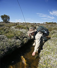 Fly Fishing, Cradle Mountain, Tasmania