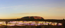 Elevated Field of Light View with Canapes