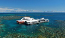 Great Barrier Reef Snorkel Adventure