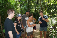 Cape Tribulation & Daintree Wilderness