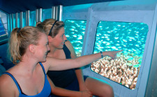 Great Barrier Reef Snorkeling, Cairns, Australia