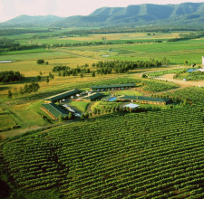 4-Star Hunter Valley Accommodation