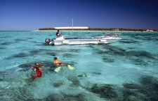 Diving the Great Barrier Reef, Australia