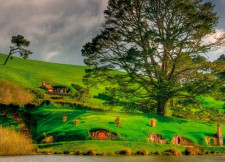 Hobbiton & Waitomo VIA Auckland