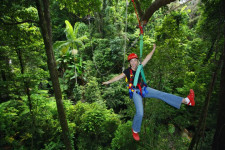 Jungle Surfing, Port Douglas, Australia