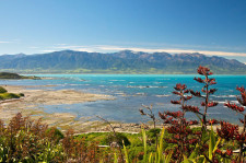 Kaikoura, New Zealand