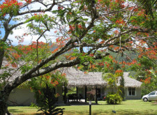 Rarotonga, Cook Islands