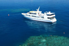 Great Barrier Reef Diving, Australia