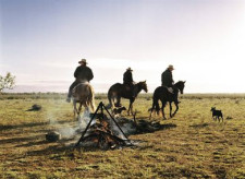 The Long Paddock, Self Drive, New South Wales