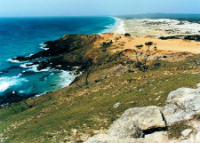 4WD Tour, Moreton Island, Australia