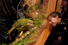 Zealandia, Wellington, New Zealand