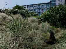 Hokitika, New Zealand