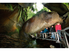 Glow Worm Caves, Te Anau, New Zealand