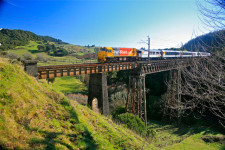 Scenic Train from Auckland to Wellington