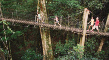 O'Reilly's and Lamington National Park