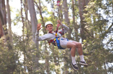 Otway Fly Treetop, Victoria