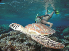 Sail & Snorkel in Low Isles