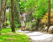 Rainforest Lodge