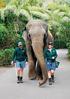 Perth Zoo, Perth, Austrlia