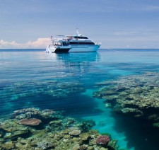 Great Barrier Reef Diving, Australia