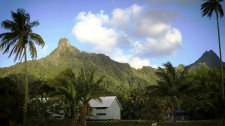 Free Day to Explore Rarotonga