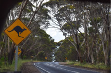 Rental Car in Australia