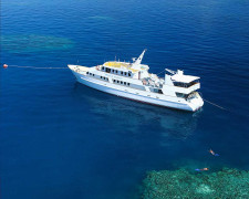 Great Barrier Reef Diving, Australia