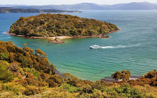 Marine Nature Cruise, Stewart Island, New Zealand