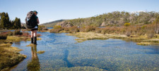 Walls of Jerusalem Hiking, Tasmania