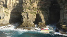 Tasman Island Cruise