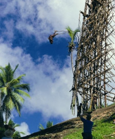 Pentecost Land Diving, Vanuatu