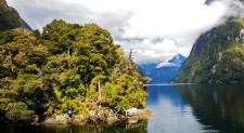 Doubtful Sound Wilderness Cruise