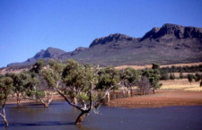 Wilpena Pound, Rawnsley Park Station