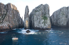 Tasman Island Cruise w/ Port Arthur