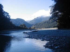 Dart River Safari in Queenstown, New Zealand