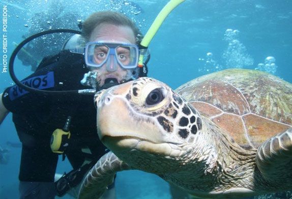 scuba diving vacations