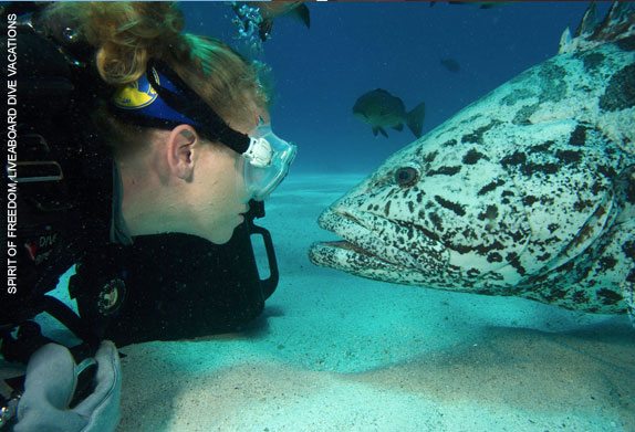 Scuba Diving Australia