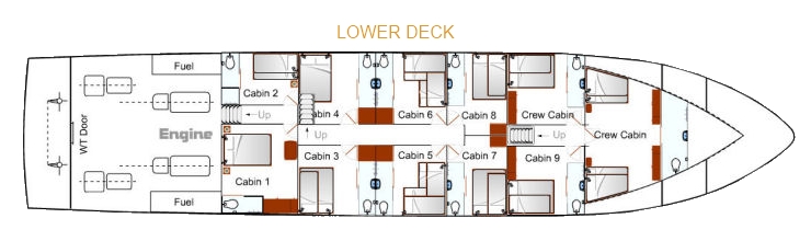 Lower Cabin for Liveaboard Scuba Diving Spirit of Freedom