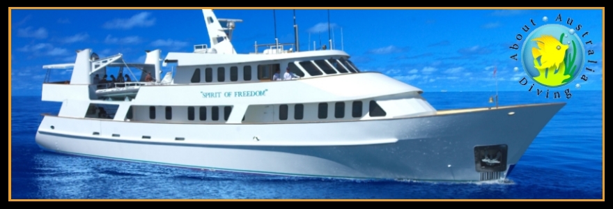 Spirit of Freedom Liveaboard Dive Trips, Australia