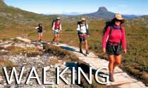 Walking_Tours_Australi