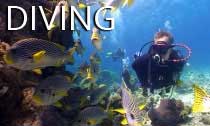 scuba_diving_australia